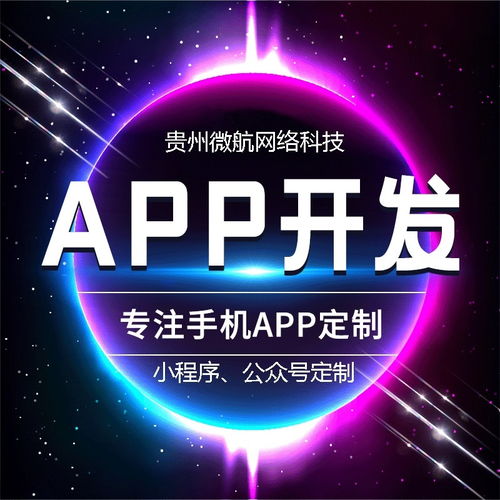 贵阳app开发 外包报价