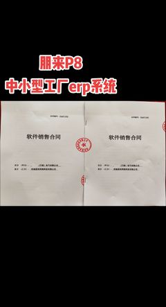 朋来erp进销存开发