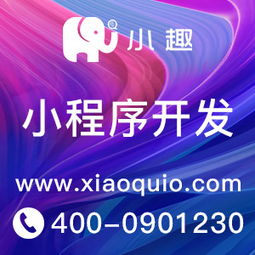 站在风口上的小程序 你还在等什么