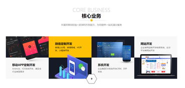 企业开发小程序app,应该选择开发定制公司还是自建团队