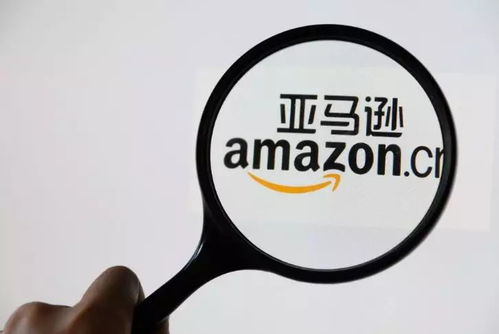 跨境电商的持续性与定制ERP系统的战略价值